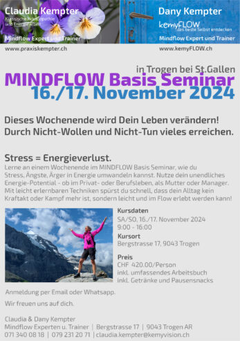 Mindflow Basis-Seminar