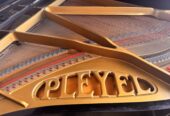 Flügel von Pleyel Paris