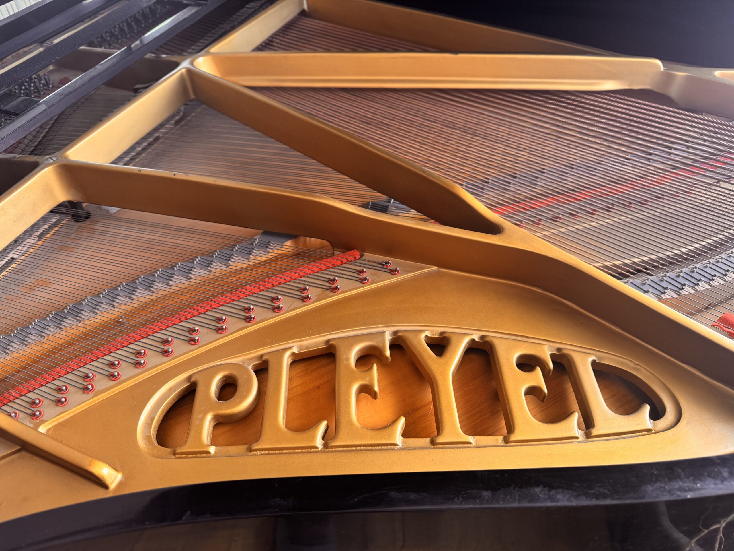 Flügel von Pleyel Paris