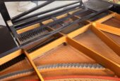 Flügel von Pleyel Paris