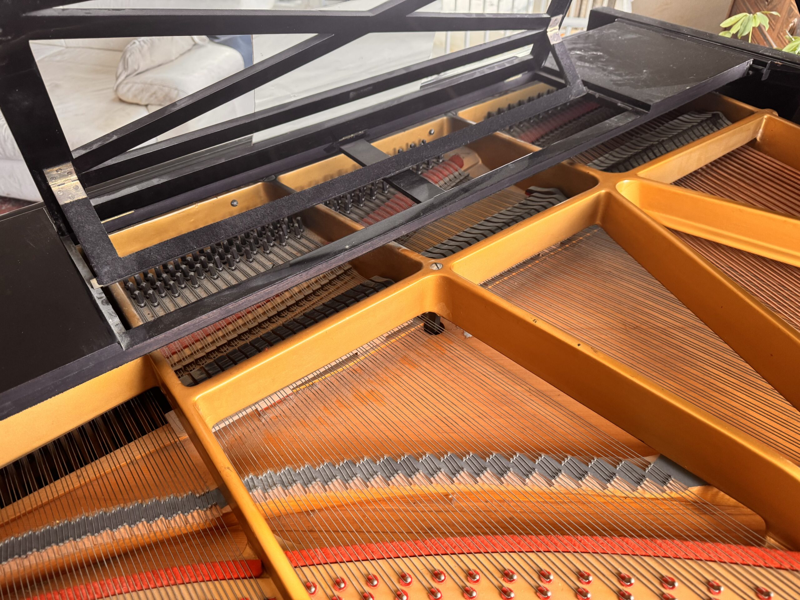 Flügel von Pleyel Paris