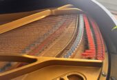 Flügel von Pleyel Paris