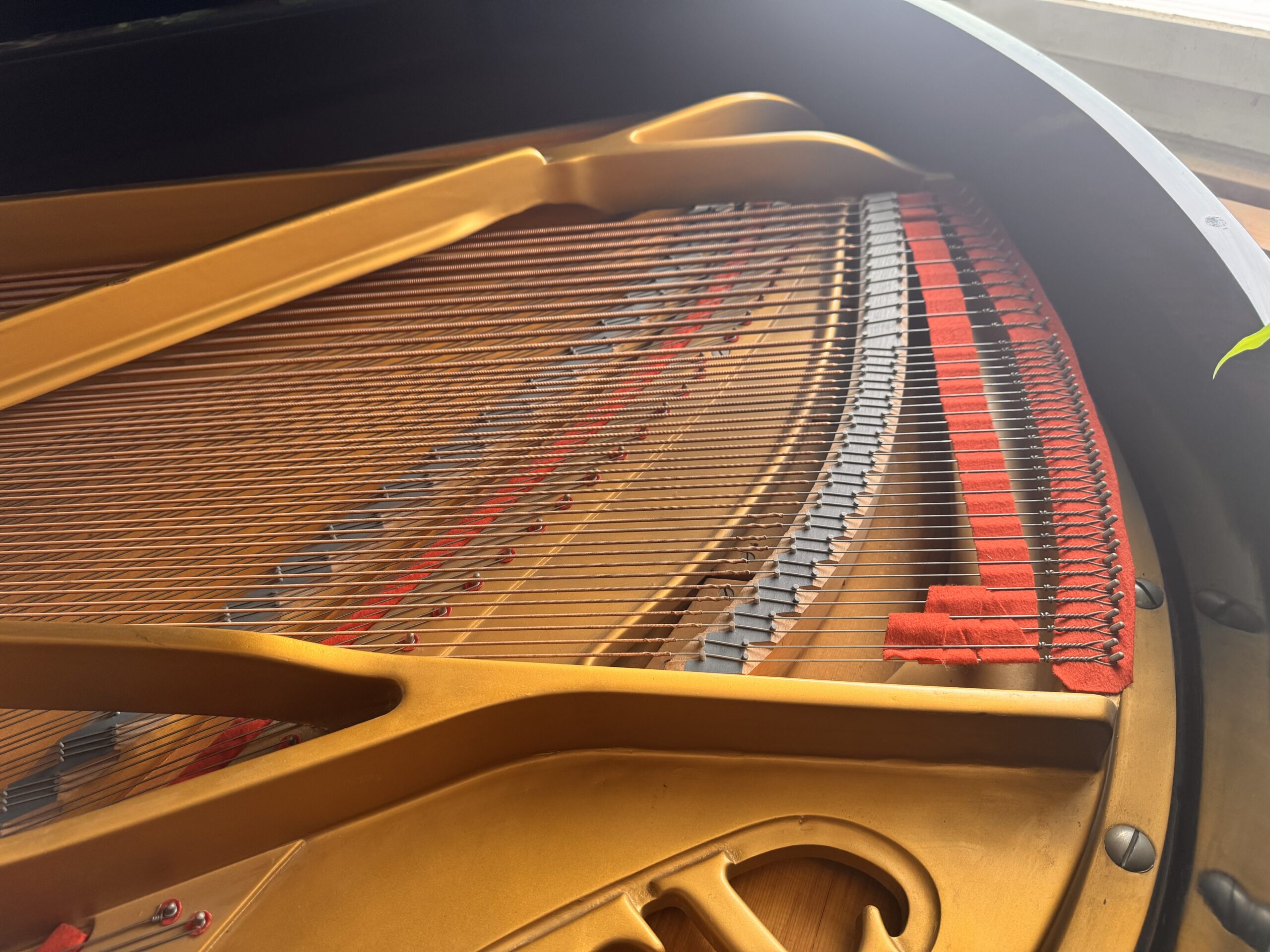 Flügel von Pleyel Paris