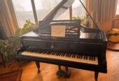 Flügel von Pleyel Paris