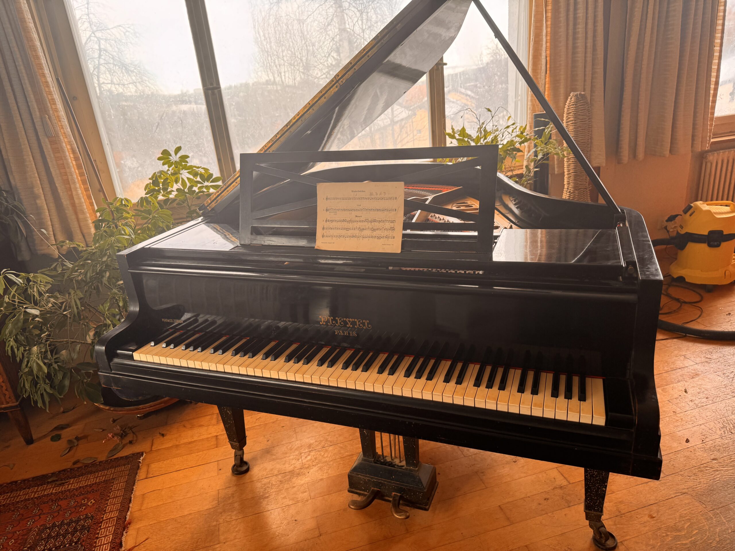 Flügel von Pleyel Paris